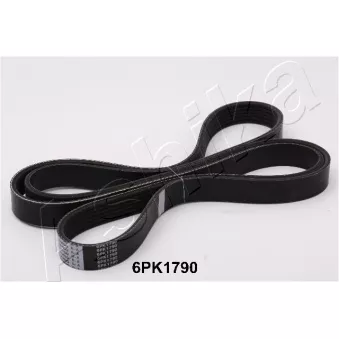 Courroie trapézoïdale à nervures ASHIKA 112-6PK1790