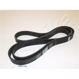 Courroie trapézoïdale à nervures ASHIKA 112-6PK1795