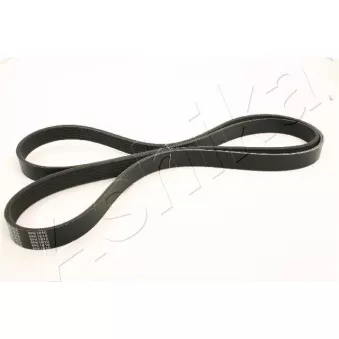 Courroie trapézoïdale à nervures ASHIKA 112-6PK1810