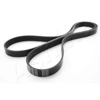 Courroie trapézoïdale à nervures ASHIKA 112-6PK1820