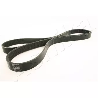 Courroie trapézoïdale à nervures ASHIKA 112-6PK1830