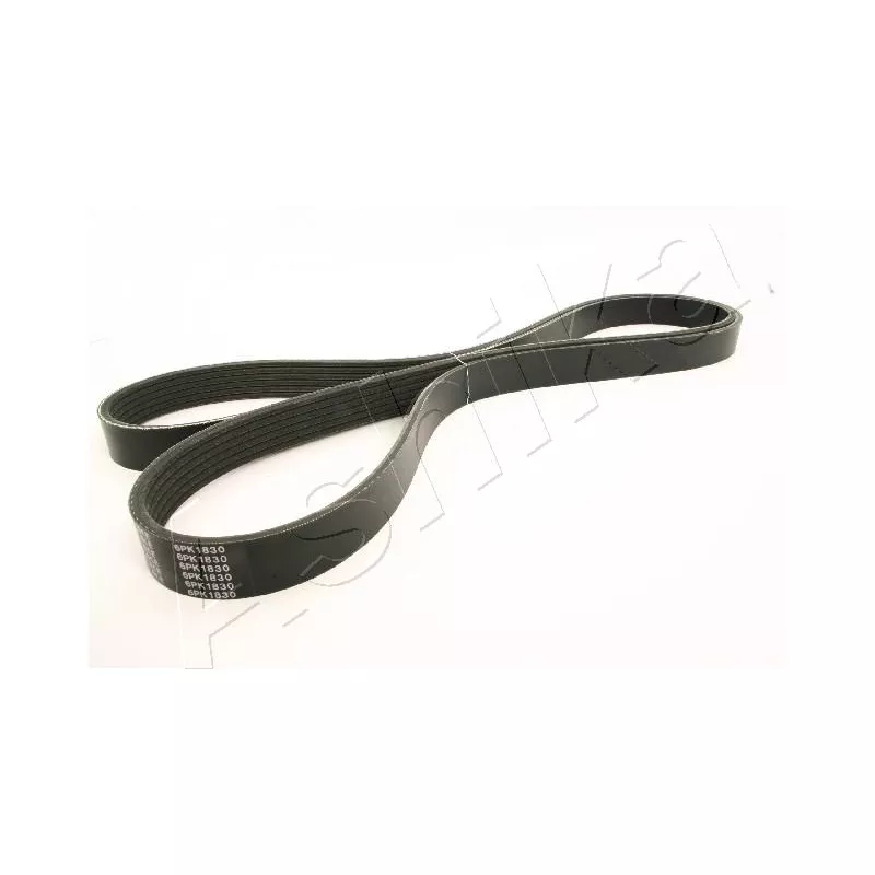 Courroie trapézoïdale à nervures ASHIKA 112-6PK1830