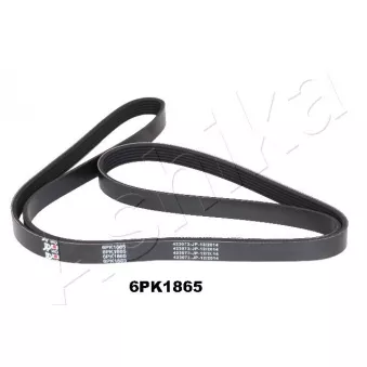Courroie trapézoïdale à nervures ASHIKA 112-6PK1865