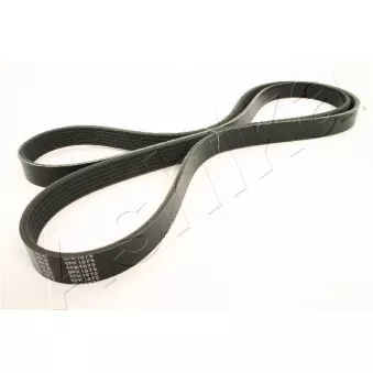Courroie trapézoïdale à nervures ASHIKA 112-6PK1875