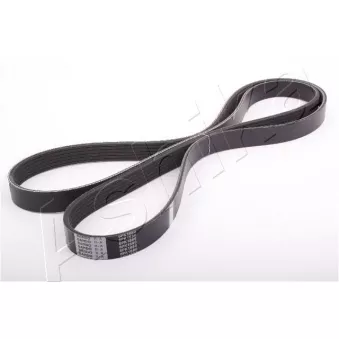 Courroie trapézoïdale à nervures ASHIKA 112-6PK1880