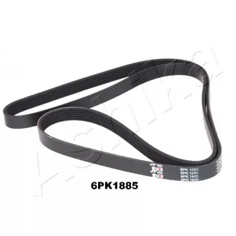 Courroie trapézoïdale à nervures ASHIKA 112-6PK1885