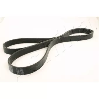Courroie trapézoïdale à nervures ASHIKA 112-6PK1890