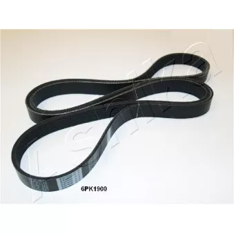 Courroie trapézoïdale à nervures ASHIKA 112-6PK1900