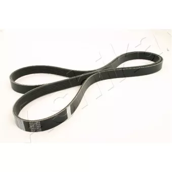 Courroie trapézoïdale à nervures ASHIKA 112-6PK1905