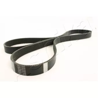 Courroie trapézoïdale à nervures ASHIKA 112-6PK1930