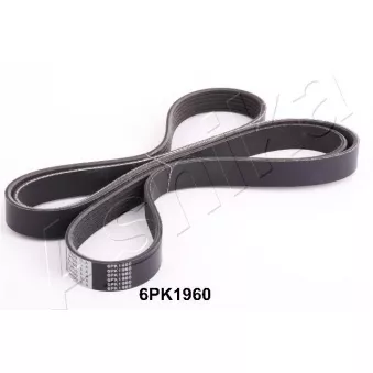 Courroie trapézoïdale à nervures ASHIKA 112-6PK1960