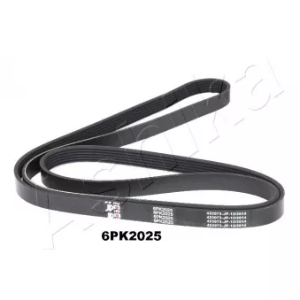 Courroie trapézoïdale à nervures ASHIKA 112-6PK2025