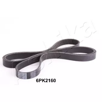 Courroie trapézoïdale à nervures ASHIKA 112-6PK2160