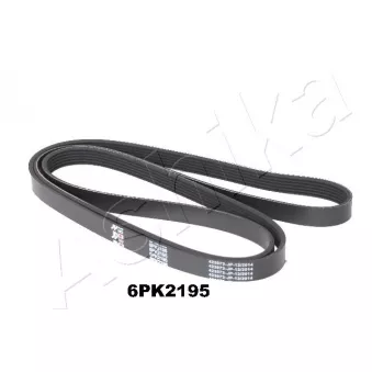 Courroie trapézoïdale à nervures ASHIKA 112-6PK2195