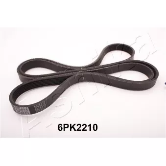 Courroie trapézoïdale à nervures ASHIKA 112-6PK2210