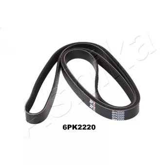 Courroie trapézoïdale à nervures ASHIKA 112-6PK2220
