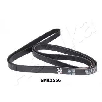 Courroie trapézoïdale à nervures ASHIKA 112-6PK2556