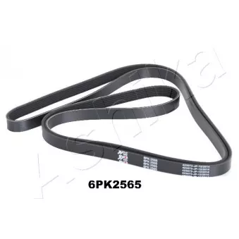 Courroie trapézoïdale à nervures ASHIKA 112-6PK2565