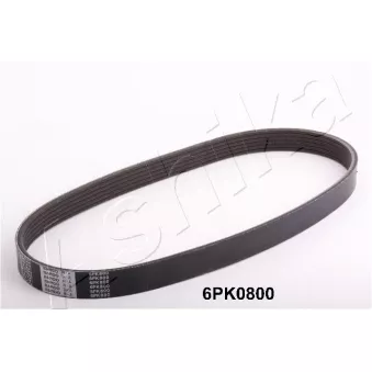Courroie trapézoïdale à nervures ASHIKA 112-6PK800