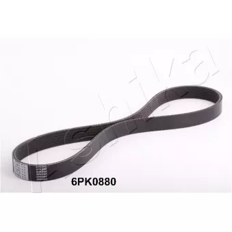 Courroie trapézoïdale à nervures ASHIKA 112-6PK880