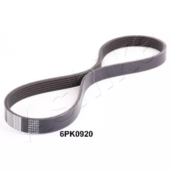 Courroie trapézoïdale à nervures ASHIKA 112-6PK920