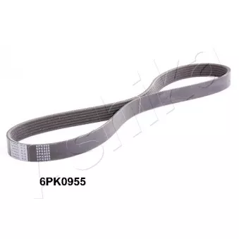 Courroie trapézoïdale à nervures ASHIKA 112-6PK955