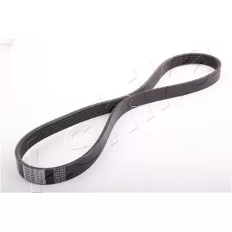 Courroie trapézoïdale à nervures ASHIKA 112-6PK965