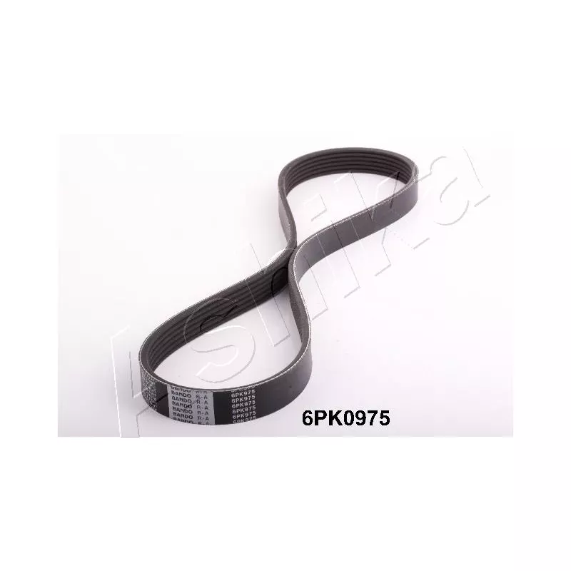 Courroie trapézoïdale à nervures ASHIKA 112-6PK975