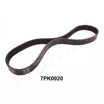 Courroie trapézoïdale à nervures ASHIKA 112-7PK0920