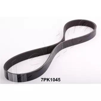 Courroie trapézoïdale à nervures ASHIKA 112-7PK1045