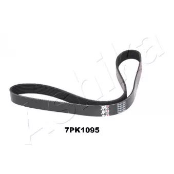 Courroie trapézoïdale à nervures ASHIKA 112-7PK1095