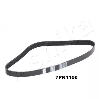 Courroie trapézoïdale à nervures ASHIKA 112-7PK1100