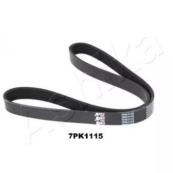 Courroie trapézoïdale à nervures ASHIKA 112-7PK1115