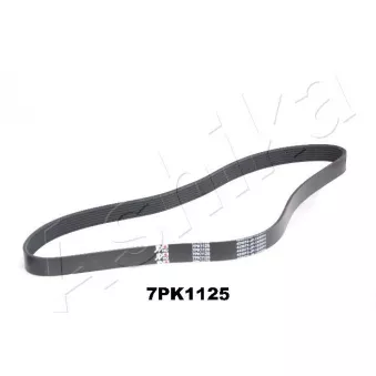 Courroie trapézoïdale à nervures ASHIKA 112-7PK1125
