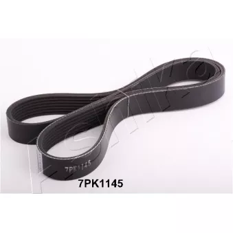 Courroie trapézoïdale à nervures ASHIKA 112-7PK1145