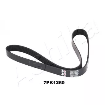 Courroie trapézoïdale à nervures ASHIKA 112-7PK1260