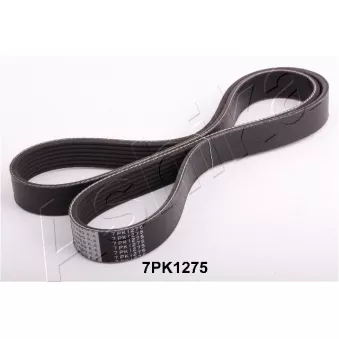 Courroie trapézoïdale à nervures ASHIKA 112-7PK1275