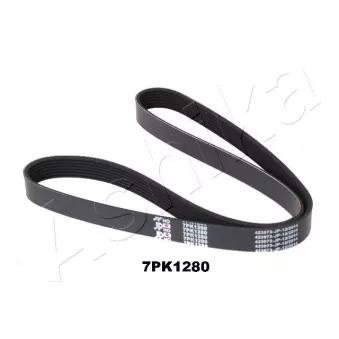 Courroie trapézoïdale à nervures ASHIKA 112-7PK1280
