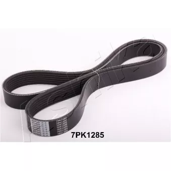 Courroie trapézoïdale à nervures ASHIKA 112-7PK1285