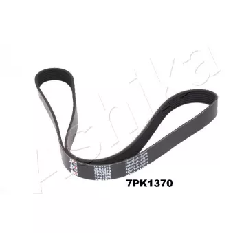 Courroie trapézoïdale à nervures ASHIKA 112-7PK1370