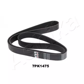 Courroie trapézoïdale à nervures ASHIKA 112-7PK1475