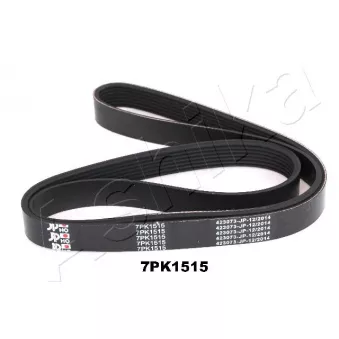 Courroie trapézoïdale à nervures ASHIKA 112-7PK1515