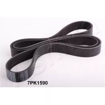 Courroie trapézoïdale à nervures ASHIKA 112-7PK1590