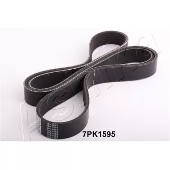Courroie trapézoïdale à nervures ASHIKA 112-7PK1595