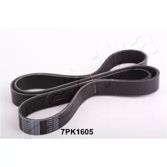 Courroie trapézoïdale à nervures ASHIKA 112-7PK1605