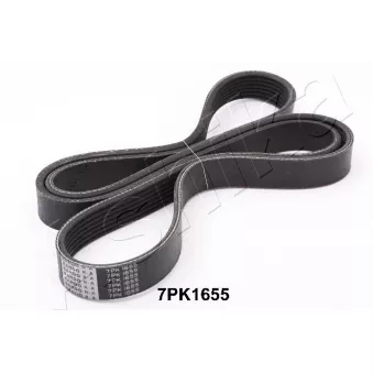 Courroie trapézoïdale à nervures ASHIKA 112-7PK1655