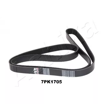 Courroie trapézoïdale à nervures ASHIKA 112-7PK1705