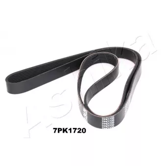 Courroie trapézoïdale à nervures ASHIKA 112-7PK1720