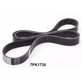 Courroie trapézoïdale à nervures ASHIKA 112-7PK1730