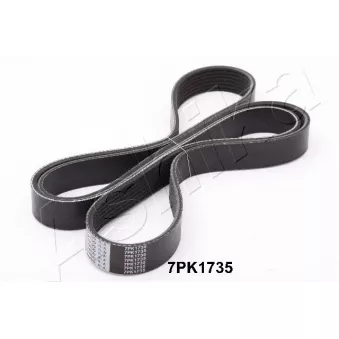 Courroie trapézoïdale à nervures ASHIKA 112-7PK1735